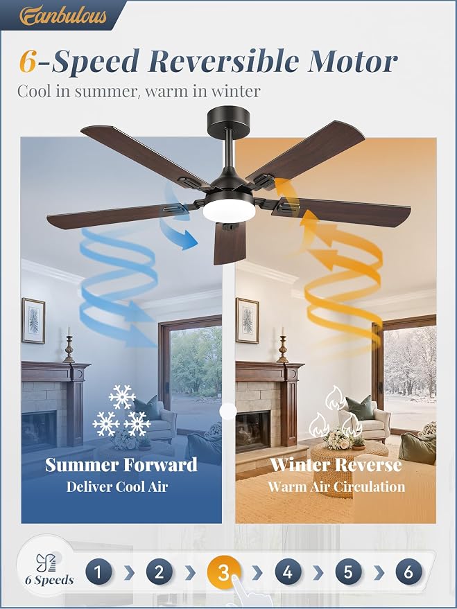 Fanbulous 52 Inch Modern Ceiling Fans with Lights | 6 Speeds,3CCT,Timer,Remote Control,Quiet Reversible DC motor,5 Double-sided Blades,Outdoor,Easy Installation,Black