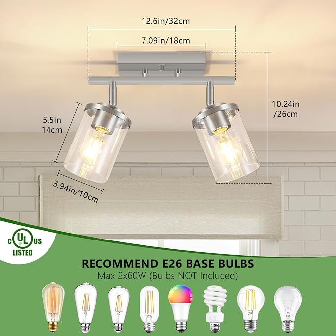 FadimiKoo 2-Lights Brushed Nickel Kitchen Track Lighting Fixtures Ceiling Mount, Adjustable Hallway Light Fxitures with Clear Glass Shade, Modern Spotlight Fixtures for Living Room Foyer Stairway