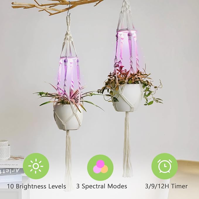 2 Pack Macrame Plant Hanger with Grow Light for Indoor Plants | 10 Brightness, 3 Light Modes, 3/9/12H Timer, Fits 5-9 in Pots, Cotton Rope, Boho Decor, Pots Not Included