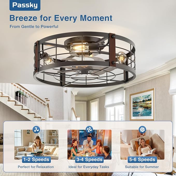 Passky 20" Caged Ceiling Fans with Lights and Remote, Low Profile Fandelier | Reversible DC Motor, 1/2/4H Timer, 6 Speeds, Farmhouse Style, Quiet Operation, for Bedroom, Kitchen, Dining Room, Living Room