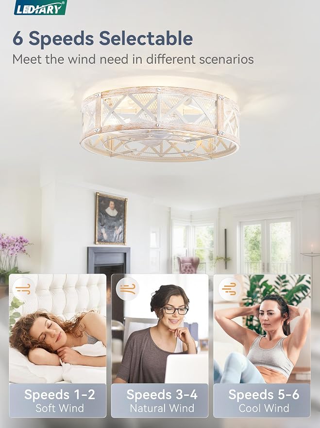 LEDIARY 20" Caged Farmhouse Ceiling Fan with Light, Flush Mount, White Gold | Remote&APP Control, Small Low Profile, Rustic Fandaliers, Industrial Bladeless Enclosed, Powerful Motor for Bedroom, Kitchen