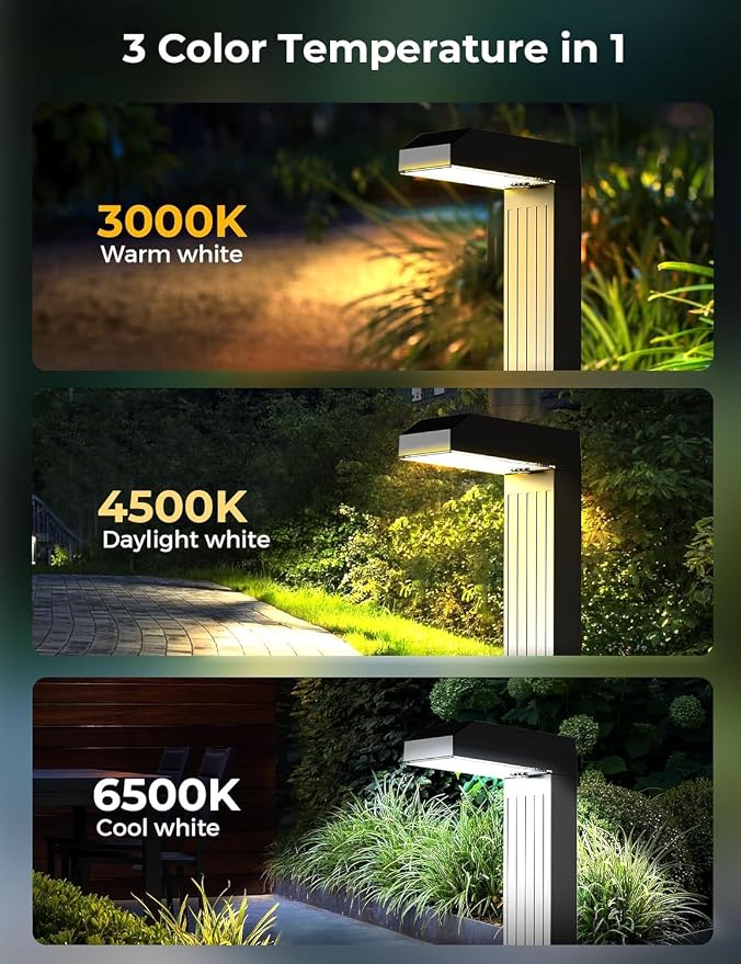 COXSENI Solar Pathway Lights Outdoor,3 Color Temperatures,20 LEDs,8 Pack | Clear Tempered Glass Solar Panel,IP65 Waterproof,Bright Led Landscape Lighting,Yard,Walkway,Driveway,Patio,Lawn,Auto On Off