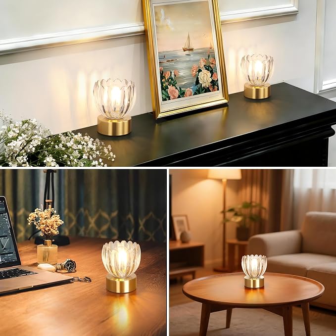 Shenmoyl Cordless Small Table Lamp with 5200mAh Battery & Touch Control, Battery Operated Tulip Table Lamp with 3 Colors, Rechargeable Mini Table Lamps for Bedsides, Bedroom, Nightstand (Transparent)