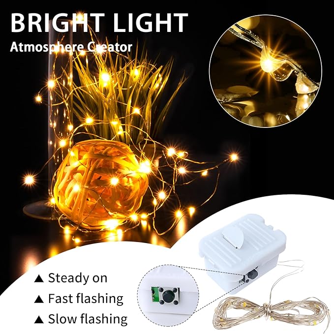 24 Pack Warm White Fairy Lights Battery Operated, 7ft 20 LED Mini String Twinkle Lights for Christmas Halloween Mason Jars Centerpiece Table Decorations (24, Warm White)