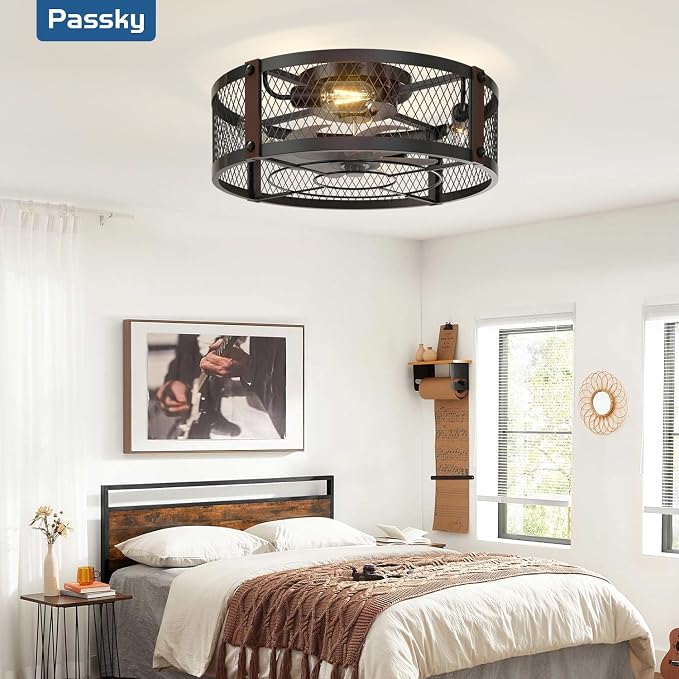 Passky 20" Caged Ceiling Fans with Lights and Remote, Low Profile Fandelier | Reversible DC Motor, 1/2/4H Timer, 6 Speeds, Farmhouse Style, Quiet Operation, for Bedroom, Kitchen, Dining Room, Living Room