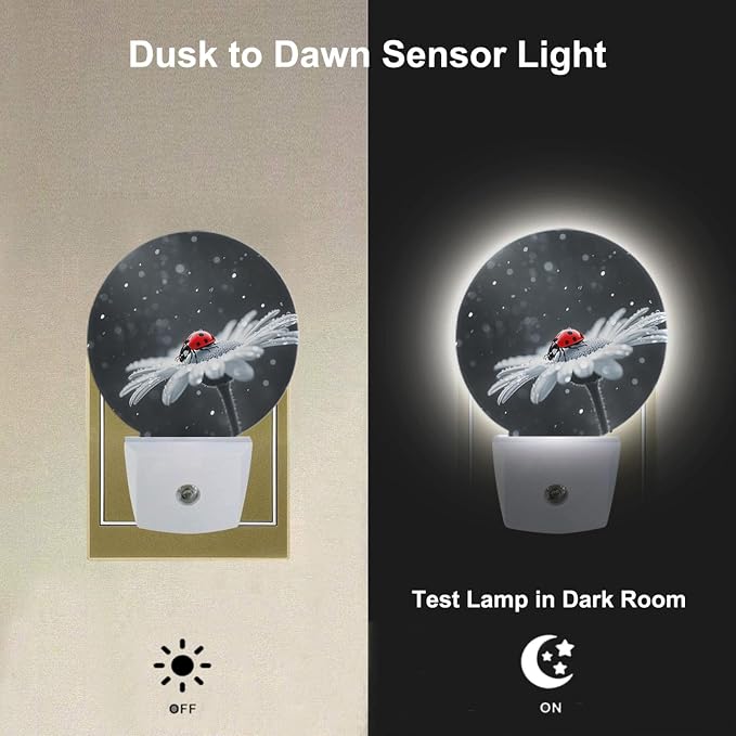 Night Light Ladybug on White Daisy Flowers Dusk to Dawn Plug-in Nightlight Auto Sensor for Bedroom Bathroom Hallway Living Room