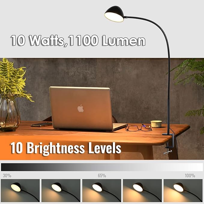 Long Gooseneck Clamp Lamp, Clip Desk Lamp with Clamp, 10W, 1100 LMS, 3 Color Modes, 10 Brightness Levels, 31 Inches Long Flaxible Gooseneck, Perfect for Craft, Reading, Home, Office