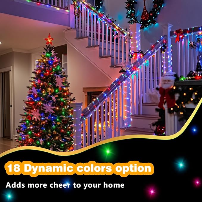 LED Rope Lights Indoor with USB Powered, 66ft 200 LED String Lights Outdoor Waterproof, Tube Lights with 16 Color Changing,Rope Lights for Outside Christmas, Garden, Party,Camping