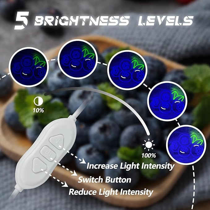 Blueberry Neon Sign for Wall Decor, Dimmable Fruit Blueberry Neon Lights, Vibrant Fruit Themed Neon LED Signs for Kids Room, Bedroom, Restaurant, Bar, Club, Fruit Shop, Birthday Party