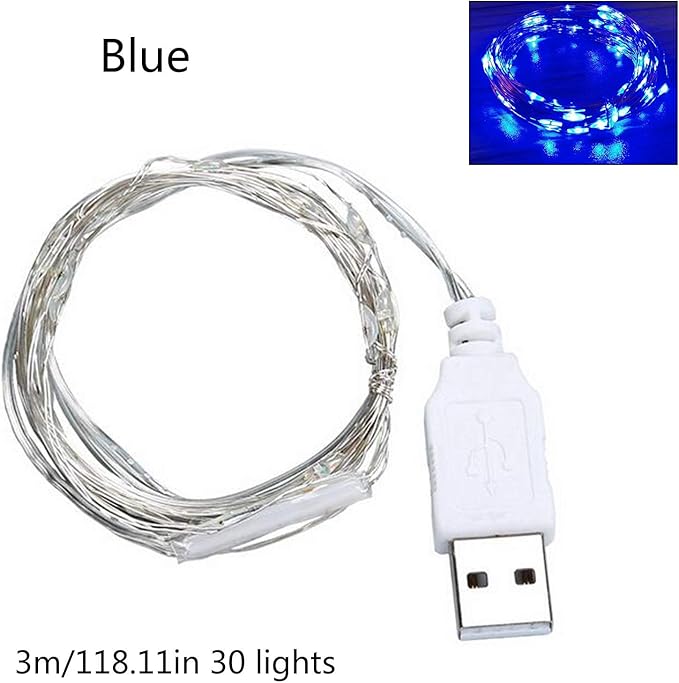 9ft 30 LED USB String Lights - Silver Wire Fairy Lights for Wedding, Party, Christmas & Festival Decorations, Multi-Color