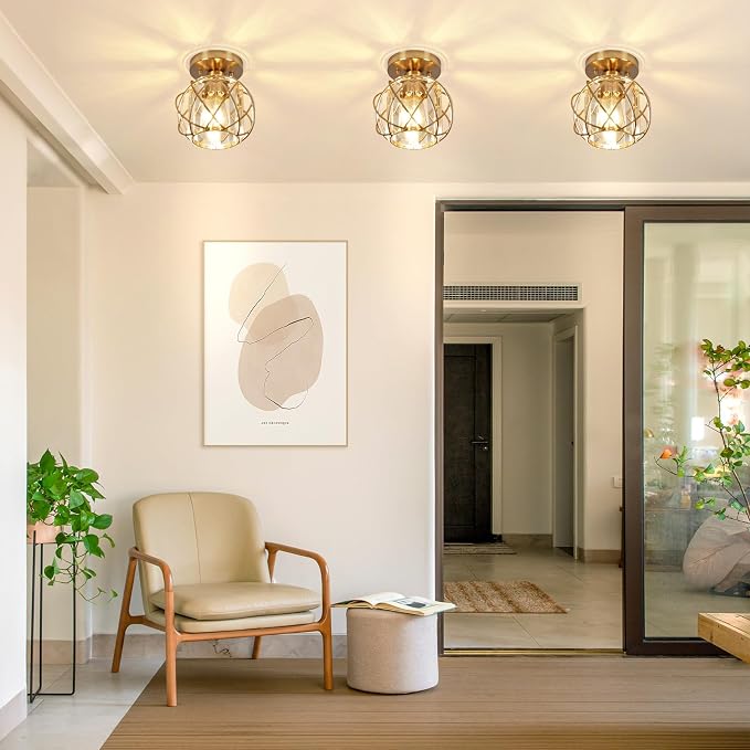 Hallway Light Fixtures Ceiling,Semi Flush Mount Ceiling Light Fixtures Gold Metal Cage Indoor Modern Ceiling Lights for Bedroom Room Hallway Entryway Kitchen 2Pack