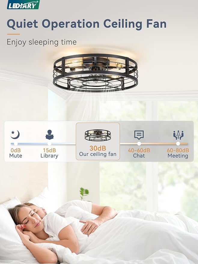 LEDIARY 23" Caged Ceiling Fan with Light and Remote, Low Profile Flush Mount Fandelier, Black Bladeless Enclosed Small Fan Lights Ceiling Fixtures, Rustic Farmhouse Style for Bedroom, Outdoor