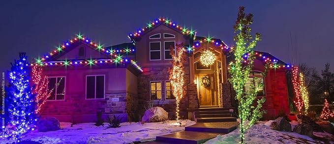 WYZworks 288LEDs, 25ft LED Outside Rope Lights, Waterproof Permanent Outdoor ETL Certified Connectable Clear Tube, Christmas Palm Tree Holiday Decorative Landscape Patio Accent Lighting - Colorful