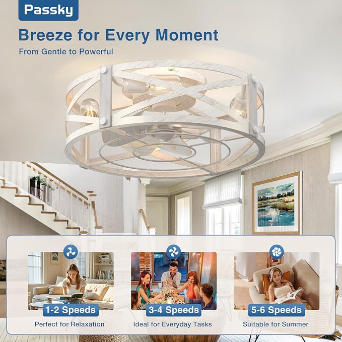 Passky 20" Caged Ceiling Fans with Lights and Remote, Low Profile Fandelier | Reversible DC Motor, 1/2/4H Timer, 6 Speeds, Farmhouse Style, Quiet Operation, for Bedroom, Kitchen, Dining Room, Living Room