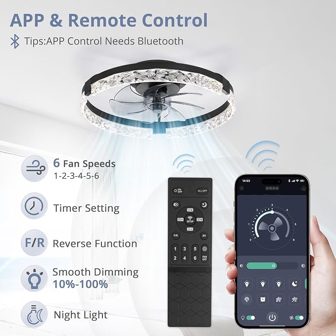 LEDIARY 2 Pack 20" Modern Ceiling Fans with Lights and Remote, Black | Fandelier, Dimmable Low Profile, Flush Mount, Stepless Color Temperature Change, 6 Speeds, Bedroom, Living Room, Kitchen