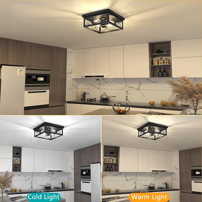 Asnxcju 12" Square Flush Mount Ceiling Light with Clear Glass Shade, 4-Light Farmhouse Outdoor Porch Ceiling Light Fixtures, Black Hallway Light Fixtures Mount for Garage Living Room Foyer