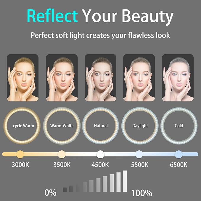 10" Desk Ring Light with Stable Tripod & Phone Holder, 120 LEDs 5-Color 10-Level Dimmable, Wireless Bluetooth Remote, Phone Selfie Light for Desk/Zoom/YouTube/TikTok