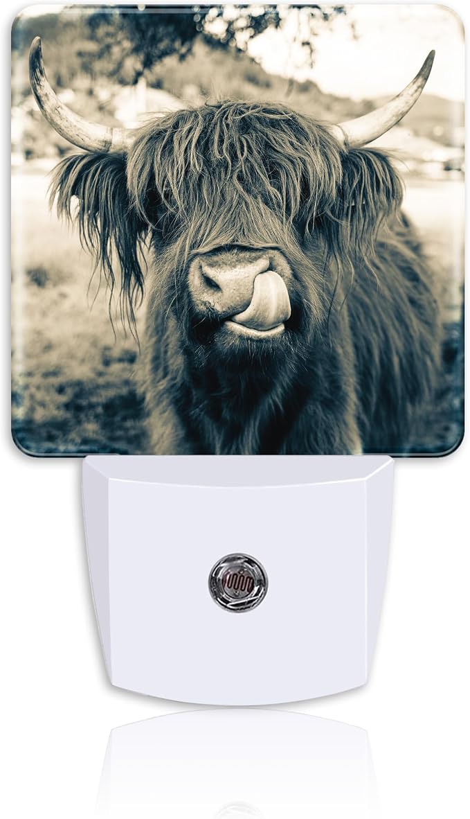 Night Light for Kids Girls Boys,Funny Dark Highland Cow LED Night Light Plug into Wall with Dusk to Dawn Sensor for Room Decor,Hallway,Kitchen,Bathroom,Nursery,Stairs