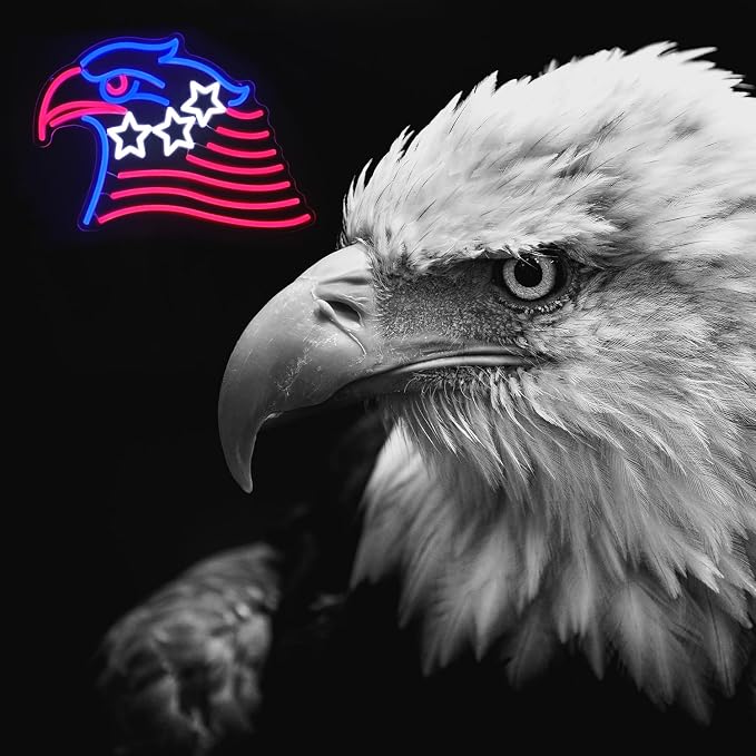 Patriotic Eagle Flag Neon Sign USA Stars and Stripes Light for Wall Decor | Dimmable 4th of July Neon Sign, Acrylic Eagle LED Neon Lights for Bedroom, USB Powered, Memorial Day American Eagle Day Decor