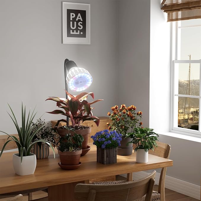Grow Light,24W (160Watts Equiv) 5000K White Full Spectrum LED Growing Lamp Clip on Desk for Indoor Plants,Bulbs Replaceable & Non-dimmable (Black, 80W)