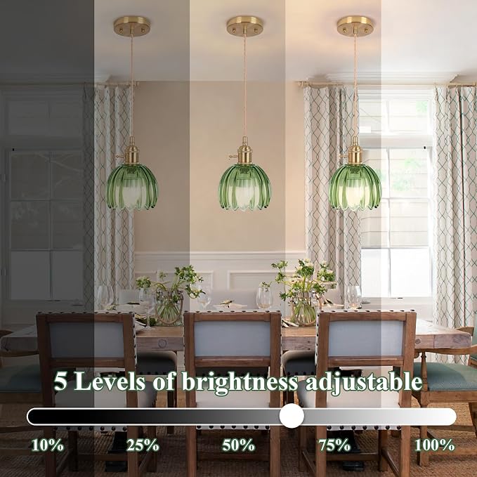 Battery Operated Pendant Light,Mini Hanging Lights 5.1Inch 2500mAh RGB Rechargeable Light Bulb with Remote Control Wireless Adjustable Rechargeable Chandelier for Kitchen Island Hallway