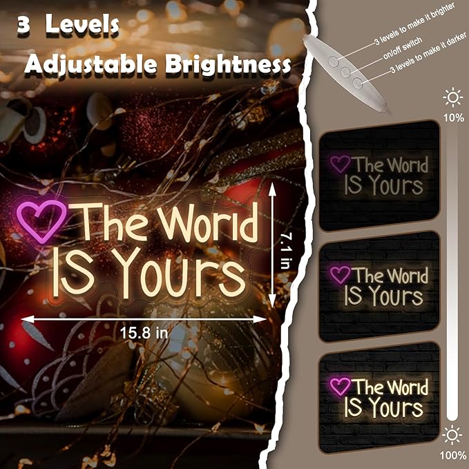 The World IS Yours neon sign, suitable for classroom wall decoration, back-to-school season, graduation season, student gifts. Dimmable, USB powered, pink heart-shaped inspirational neon light.
