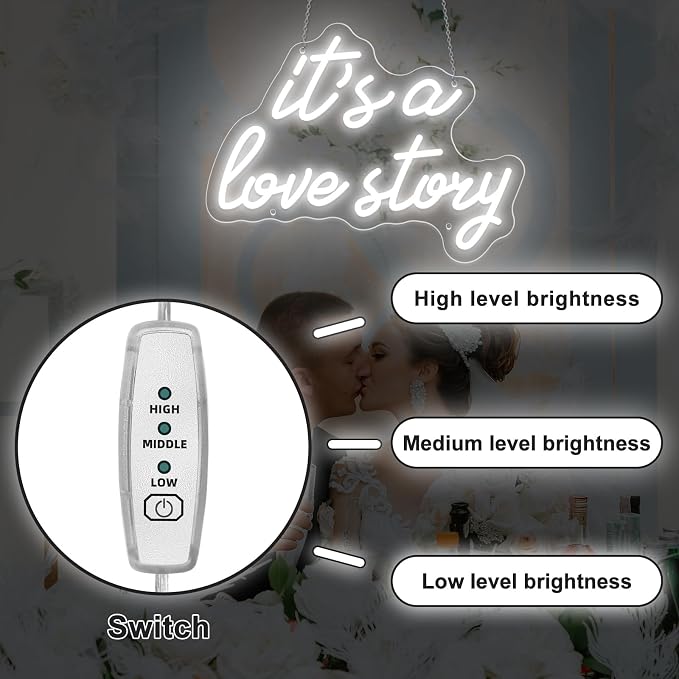 Its a Love Story Neon Sign, Cold White USB Led Light Up Signs for Bedroom Aesthetic Birthday Wedding Party Gift Boyfriend Girlfriend Lover Women Men Room Bathroom Decoration Gift, 15.7 x 11.8 Inch