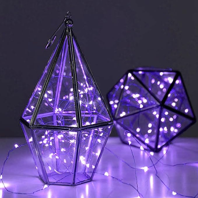 12 Pack Fairy Lights Battery Operated String Light，7FT 20LED Waterproof Silver Wire Christmas Lights Outdoor,Firefly Mini Light for Bedroom Party Birthday Wedding Indoor Decorations Home Decor | 7FT Waterproof Silver Wire Christmas Lights Outdoor, Fire...