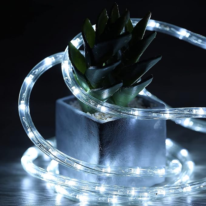 LED Rope Lights, 100Ft 110V Waterproof Rope Lights for Outside, Outdoor String Lights, Ideal for Eaves, Backyards Garden, Christmas Decoration(Cold White)