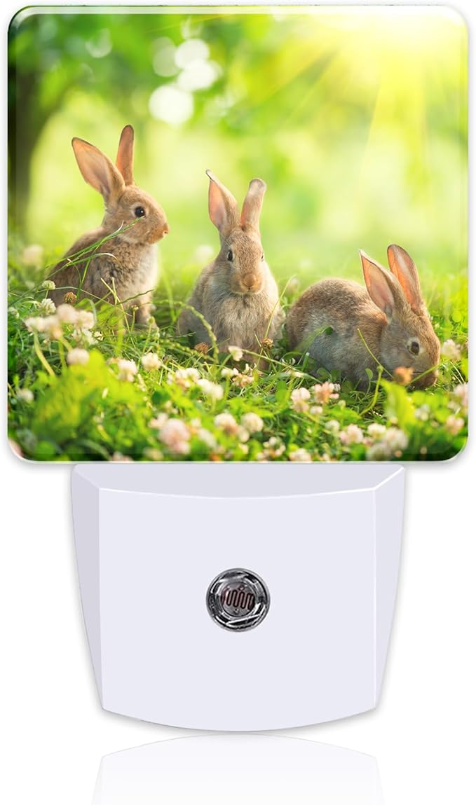 Easter Bunny in The Meadow Night Light Plug into Wall,Cute Rabbits and Spring Flowers Dusk to Dawn Night Light Plug in,0.5w Energy Saving Sleep Friendly Nightlight for Kids Boys Girls Home Decor