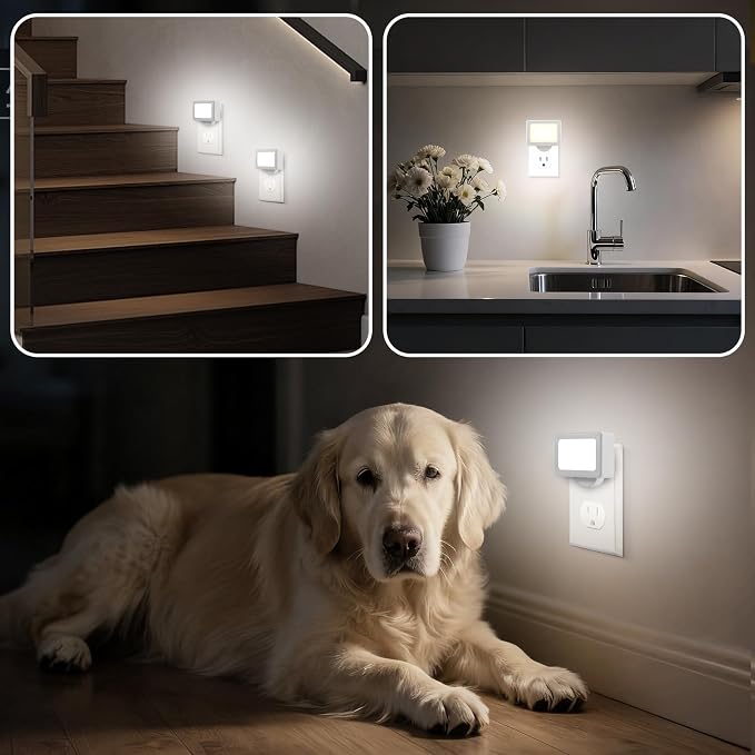 4-Pack LED Night Light Plug in,Adjustable 180° Swivel Head Daylight 5000K | Dusk to Dawn Auto On/Off,100LM, for Kitchen Counter, Desk, Staircase, Hallway, BathroomNon-Dimmable