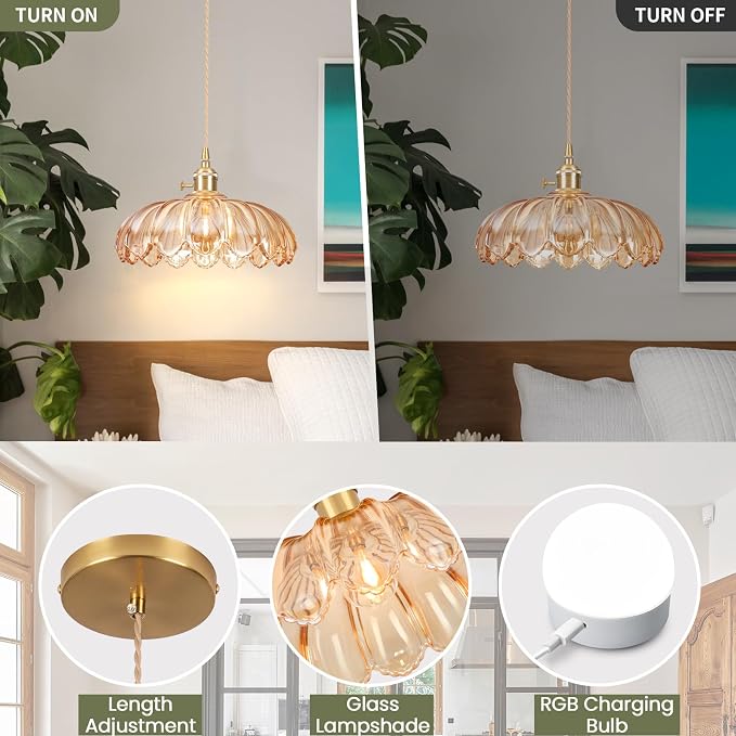 Battery Operated Pendant Light,Vintage Light Fixtures 2500mAh 9.8in RGB Light Bulb with Remote Control Wireless Adjustable Rechargeable Chandelier for Kitchen Island Hallway 1Light