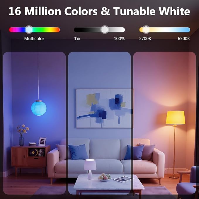 DAYBETTER Smart Light Bulbs,Compatible with Alexa & Google Home | 4Pack A19 E26 Bulbs, 800LM 60W Equivalent,Dimmable RGB+CCT Color Changing,2.4GHz WiFi & Bluetooth,Music Sync,Preset Scenes