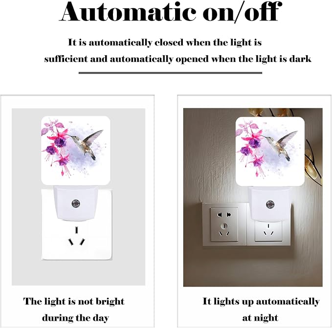 Groovy Hummingbird Flowers Night Light,Plug Into Wall for Boys Girls Bedroom Decorative Square Night Light Lamp 0.5w Sleep Friendly