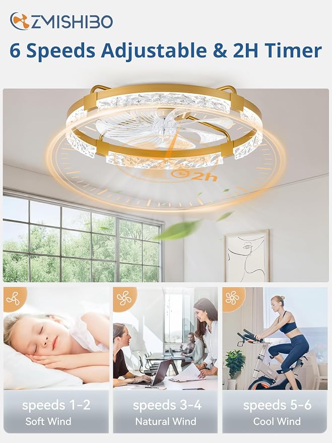 ZMISHIBO 24 Inch Ceiling Fans with Lights, Flush Mount Remote & App Control | 3CCT Dimmable LED, DC Motor, Bladeless, Reversible Blade, 6 Speeds, Modern, Low Profile, Enclosed, Bedroom, Kids, Girl, Adult