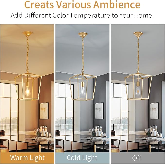 ANJIADENGSHI Lantern Pendant Light Lantern Iron Cage 1 E26 Bulbs Gold Chandelier for Dining Room Kitchen(Bulbs Not Included)