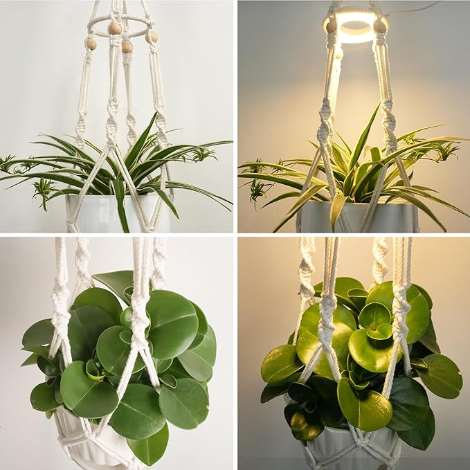 2 Pack Macrame Plant Hanger with Grow Light for Indoor Plants | 10 Brightness, 3 Light Modes, 3/9/12H Timer, Fits 5-9 in Pots, Cotton Rope, Boho Decor, Pots Not Included