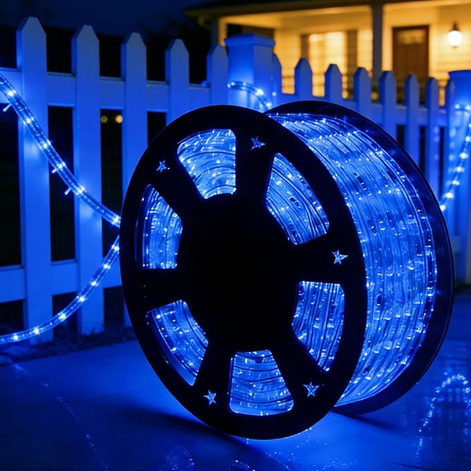 LED Rope Lights, 100ft 110V Waterproof Rope Lights for Outside, Outdoor String Lights, Ideal for Eaves, Backyards Garden, Christmas Decoration(Blue)