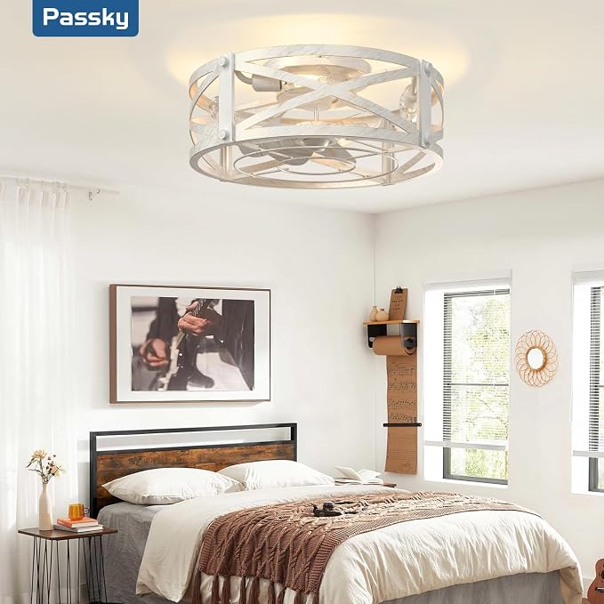 Passky 20" Caged Ceiling Fans with Lights and Remote, Low Profile Fandelier | Reversible DC Motor, 1/2/4H Timer, 6 Speeds, Farmhouse Style, Quiet Operation, for Bedroom, Kitchen, Dining Room, Living Room