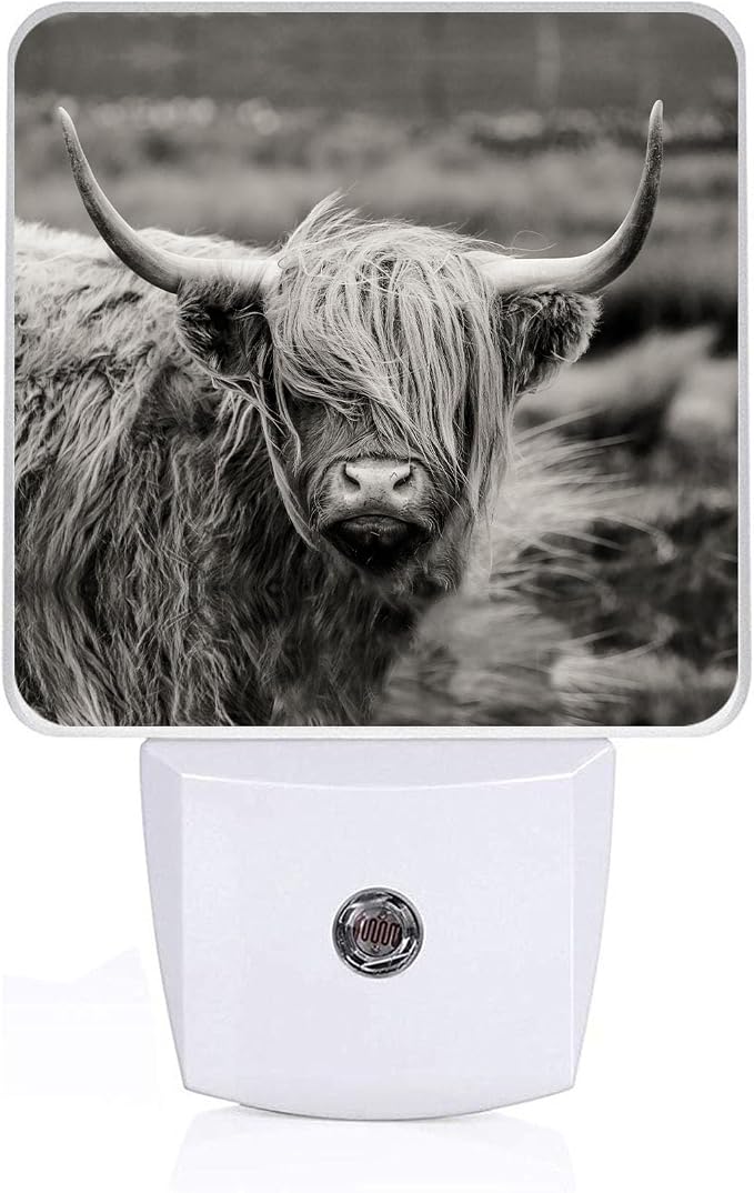 Highland Cow Night Light, Plug-into Wall Cows Nightlight Lamp with Dusk to Dawn Sensor, Led Lamp 0.5W Energy Efficient for Boys Girls Adults Home Decor