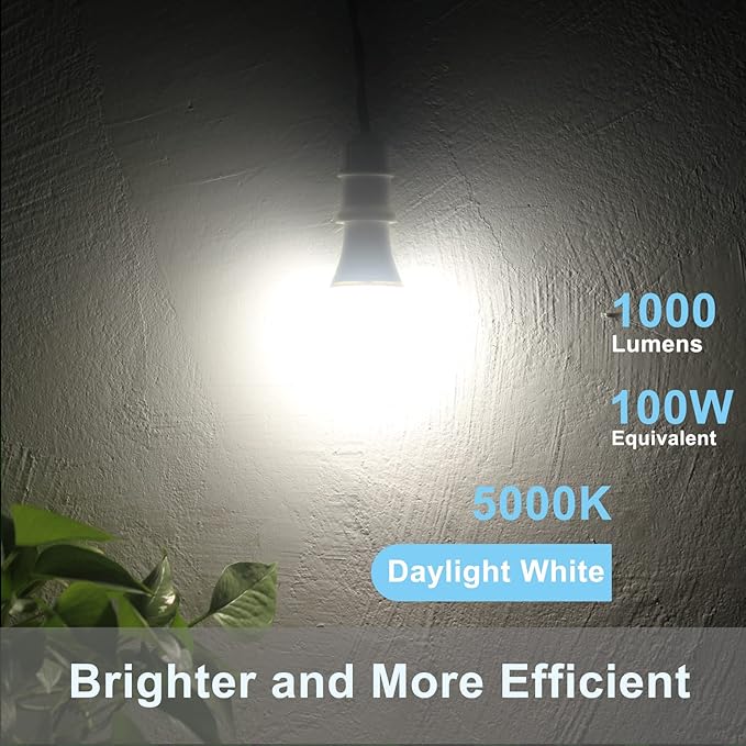 Dusk to Dawn Light Bulbs, Auto On/Off Light Sensing LED Bulbs Outdoor, Daylight, A19 2-Pack, 12W 1000LM 75W Equivalent, HQ-H023