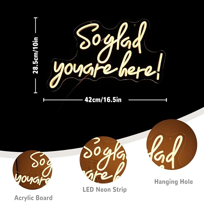 So Glad You Are Here Neon Sign Dimmable Wedding Welcome Neon Lights for Wall Decor Bussines Light Up Sign for Wedding Birthday Decorations Gift