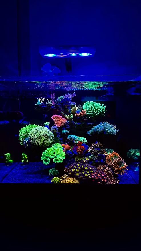 Aquarium Light 60W Reef Light for Coral SPS LPS Saltwater Light | Dimmable for SPS/LPS Corals,Sunrise, Sunset, Moonlight Modes, Ideal for 20-36in Saltwater Reef Fish Tanks Up To 60 Gallons