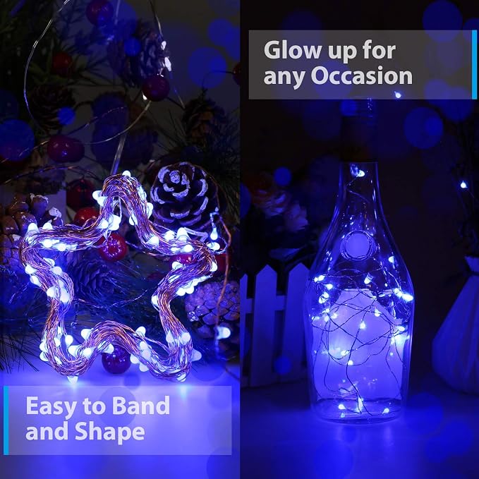 Ariceleo USB Powered Fairy Lights, 100 led 33 ft. USB Plug in Copper Wire USB String Lights for Bedroom Christmas Decoration Wedding Party Firefly Lights (Blue,1 Pack)