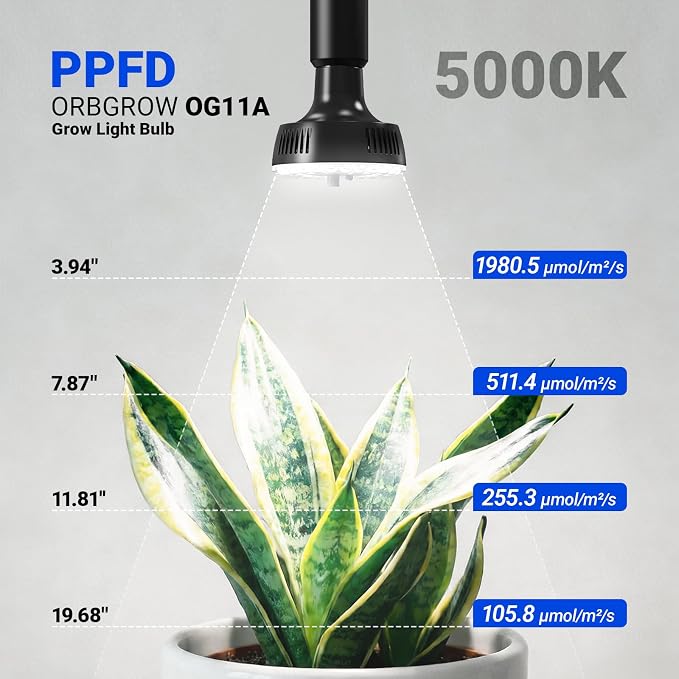 Barrina OG11A Grow Light Bulbs for Indoor Plant, 5000K 11W, 4 Packs, Black | Integrated Dimming & Timing, E26 Plant Light Bulb, Full Spectrum, High PPFD for Seeds and Greens
