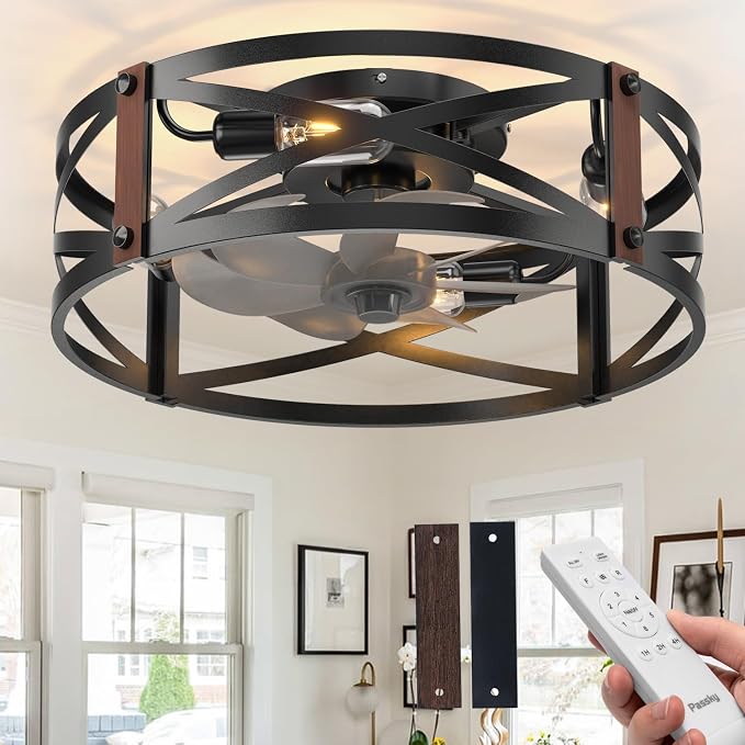 Passky 20" Caged Ceiling Fans with Lights and Remote, Low Profile Fandelier | Reversible DC Motor, 1/2/4H Timer, 6 Speeds, Farmhouse Style, Quiet Operation, for Bedroom, Kitchen, Dining Room, Living Room