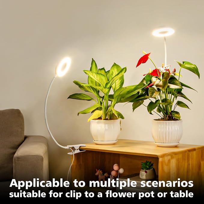 LORDEM Grow Light,Full Spectrum Pot Clip LED Plant Growth Light with Auto On/Off Timer 4/8/12H,Plant Lamp with 360°Rotatable Gooseneck, 4 Dimmable Brightness, Ideal for Small Indoor Plants, 2 Pack