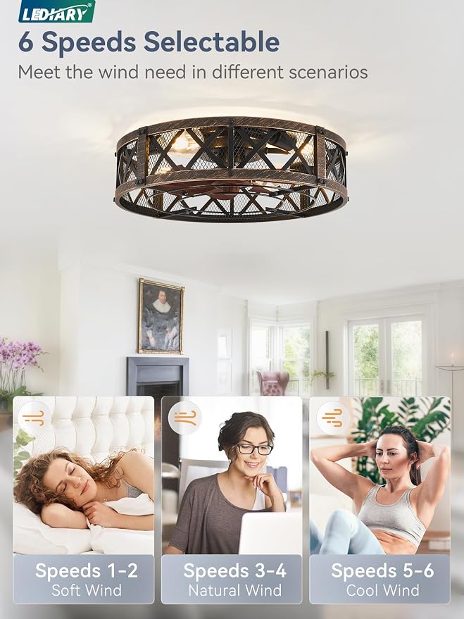 LEDIARY 20" Caged Farmhouse Ceiling Fan with Light, Flush Mount, Black Gold | Remote&APP Control, Small Low Profile, Rustic Fandaliers, Industrial Bladeless Enclosed, Powerful Motor for Bedroom, Kitchen