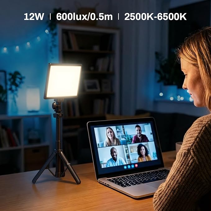 RALENO LED Video Light Panel, 2500K-6500K Camera Light for Video Conference Recording with 4000mAh Battery Type-C USB Ports, CRI>95 Photo Lights for Outdoor Photography Live Streaming Zoom Call