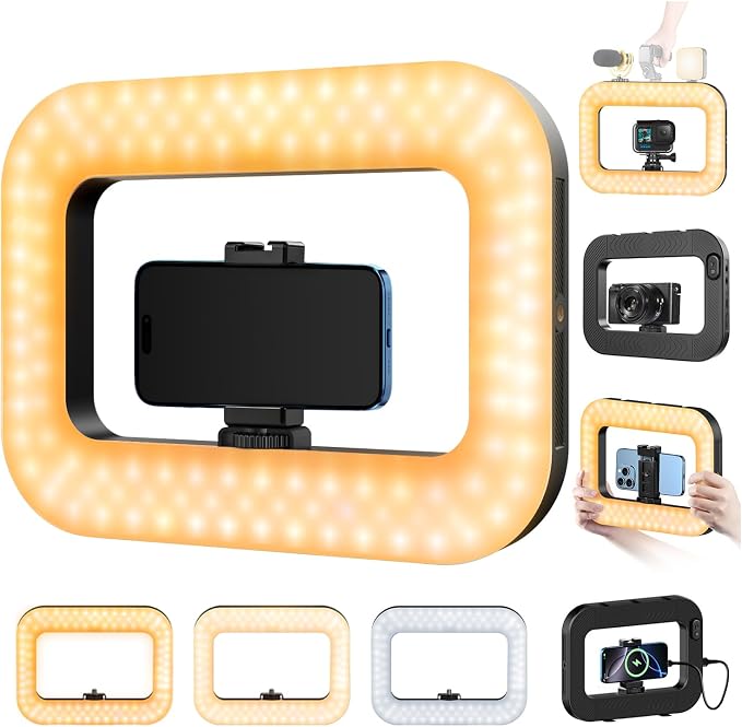 Cell Phone Light for Video Recording, Handheld Phone Stabilizer with Light, 8000mAh LED Selfie Phones Ring Light with Phones Holder, Smartphone Video Rig for Camera, Action Camera, Vlog, TikTok